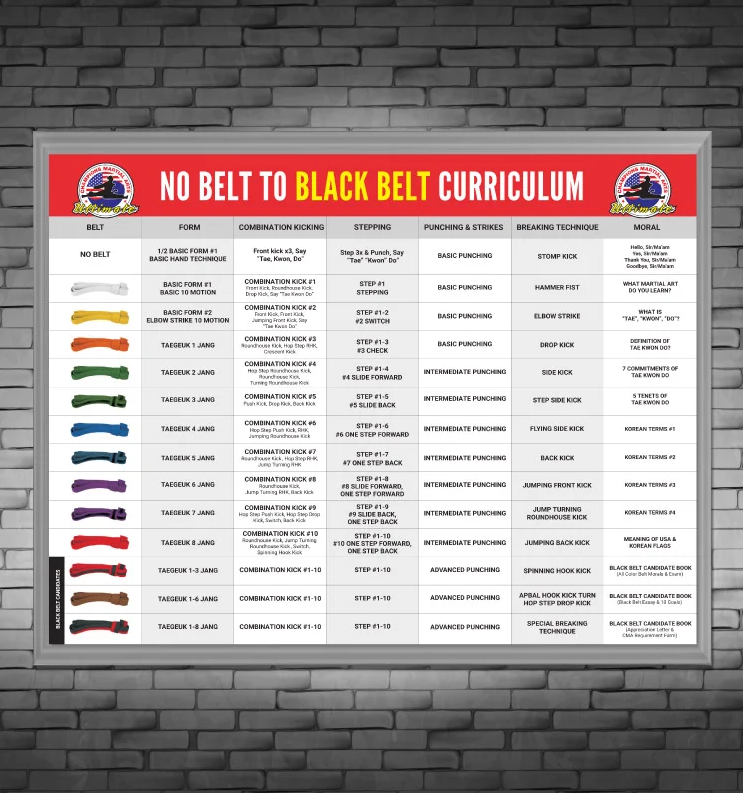 No Belt to Black Belt Curriculum