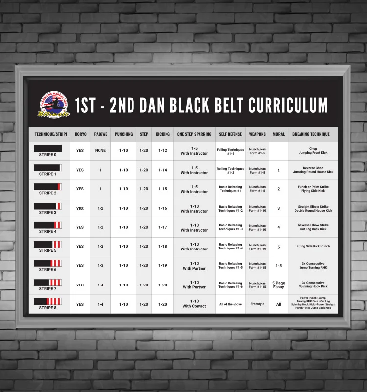 BBC Curriculum 1st Dan